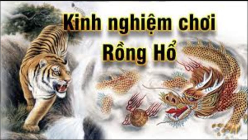 Phân tích các cửa đặt cược phổ biến