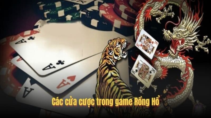 Tổng hợp kinh nghiệm chơi Rồng Hổ từ cao thủ chuyên nghiệp